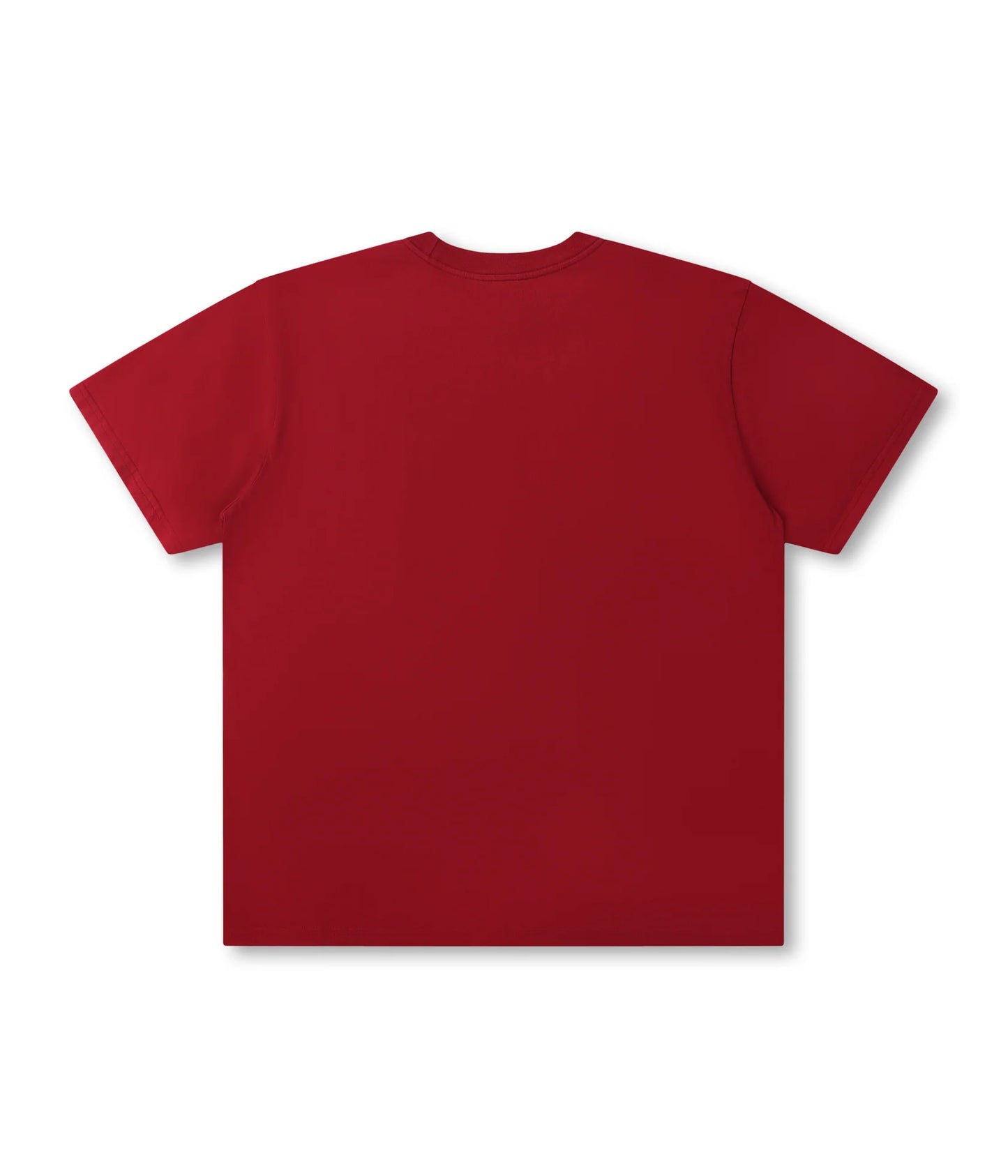 SALVAGE LEGACY T-SHIRT // WASHED CRIMSON