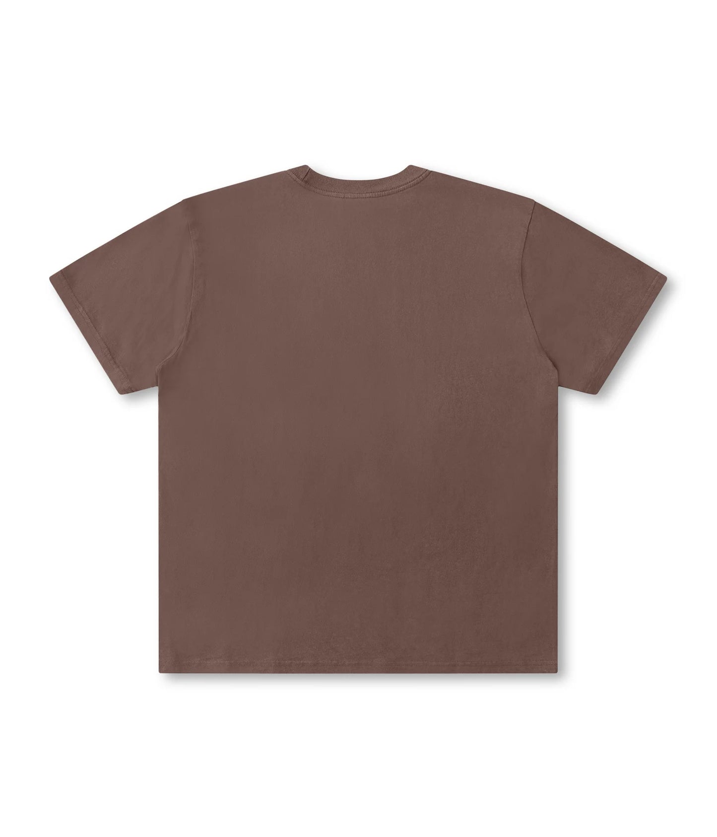 PROSCRIPTION T-SHIRT // WASHED CHOC