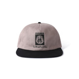 BRAINSCAN CAP // BLACK MUSHROOM