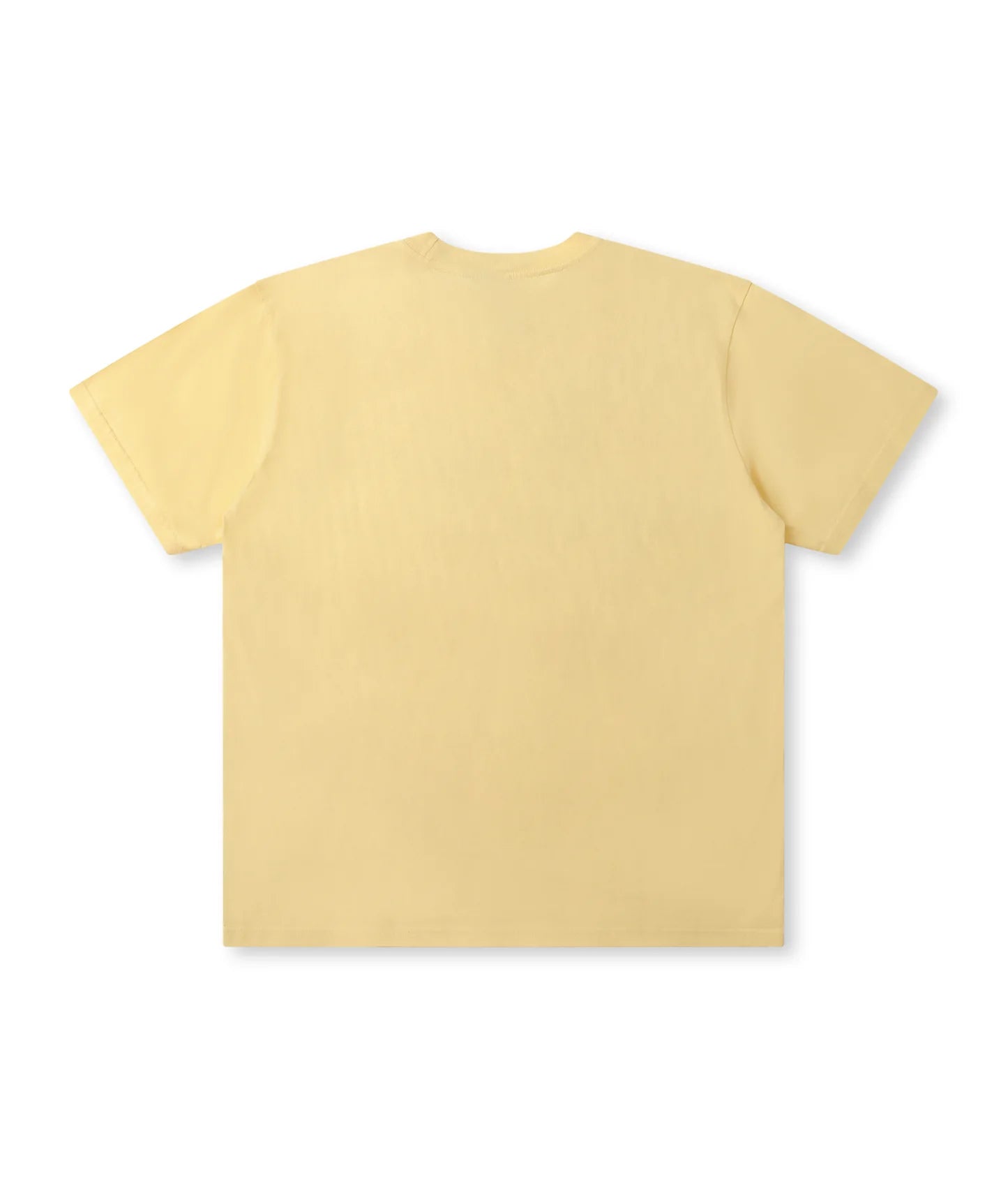 PARLIAMENT T-SHIRT // WASHED FLAX