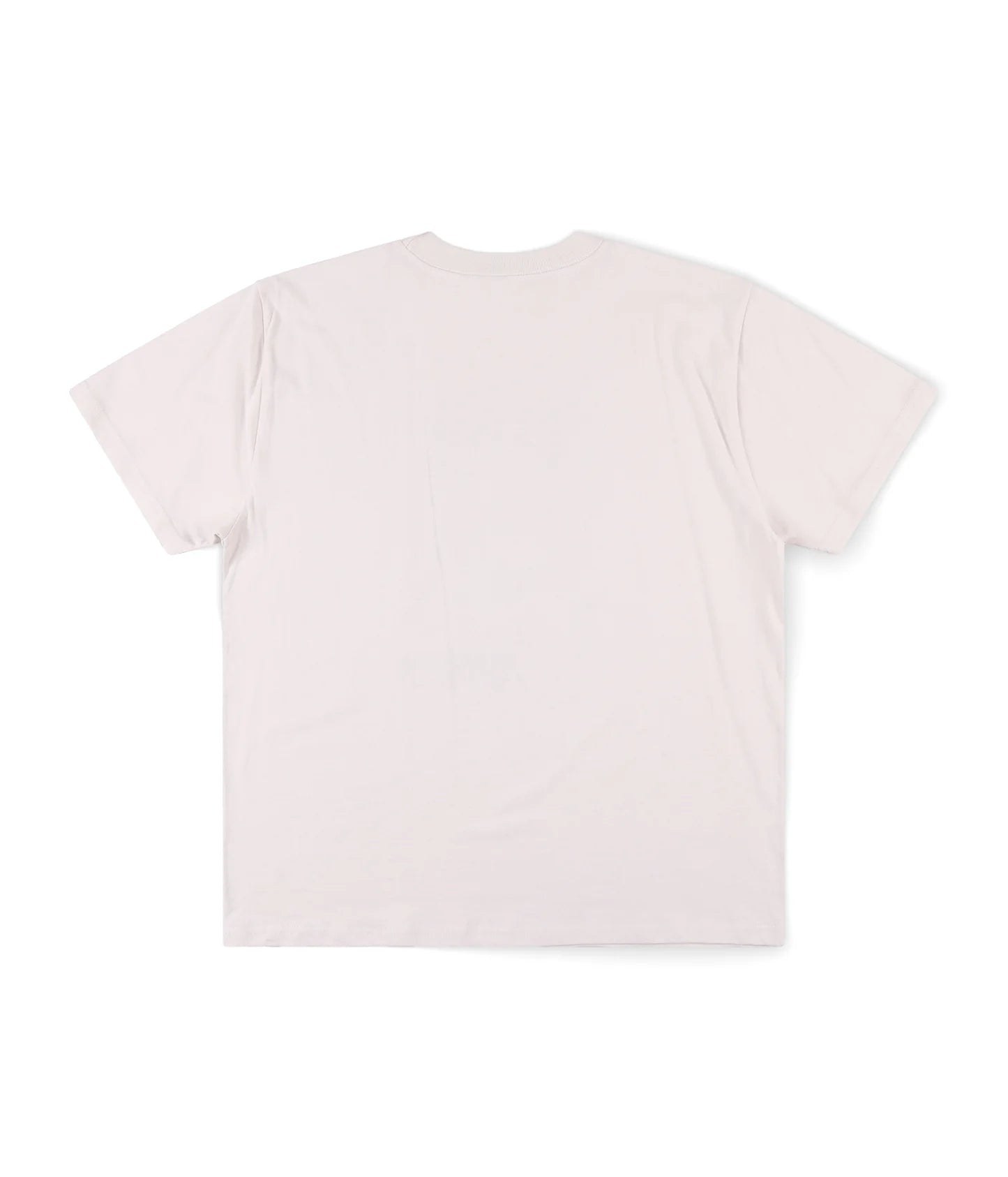 DEVELOPMENT T-SHIRT // BONE