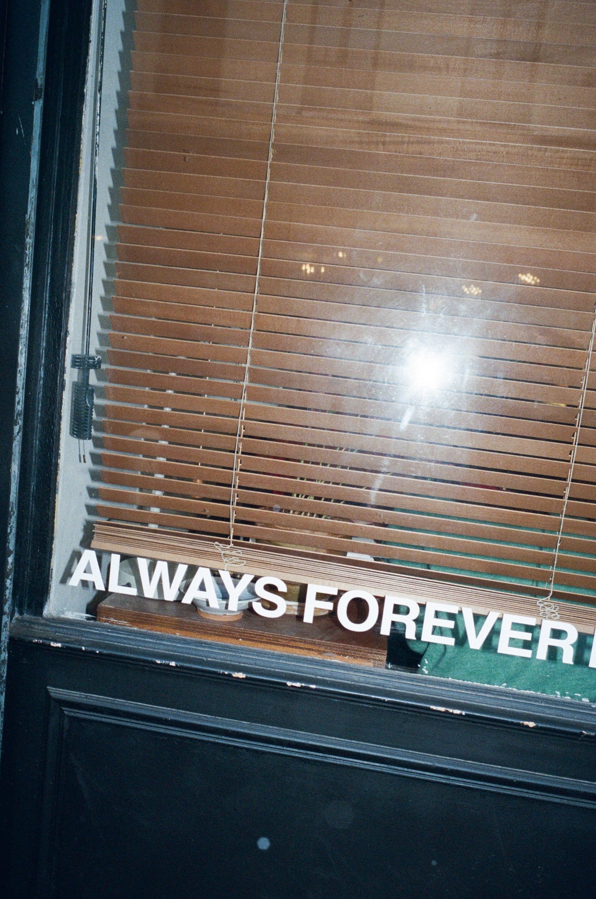 ALWAYS FOREVER STUDIO 14